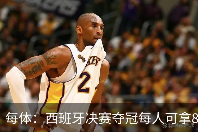 每体：西班牙决赛夺冠每人可拿86.5万欧，输了仍有50万欧