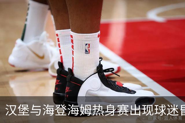 汉堡与海登海姆热身赛出现球迷昏迷，队医和救护车先后急救