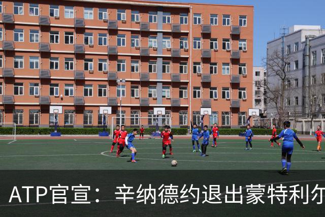 ATP官宣：辛纳德约退出蒙特利尔大师赛 辛纳放弃冲击年度金大师